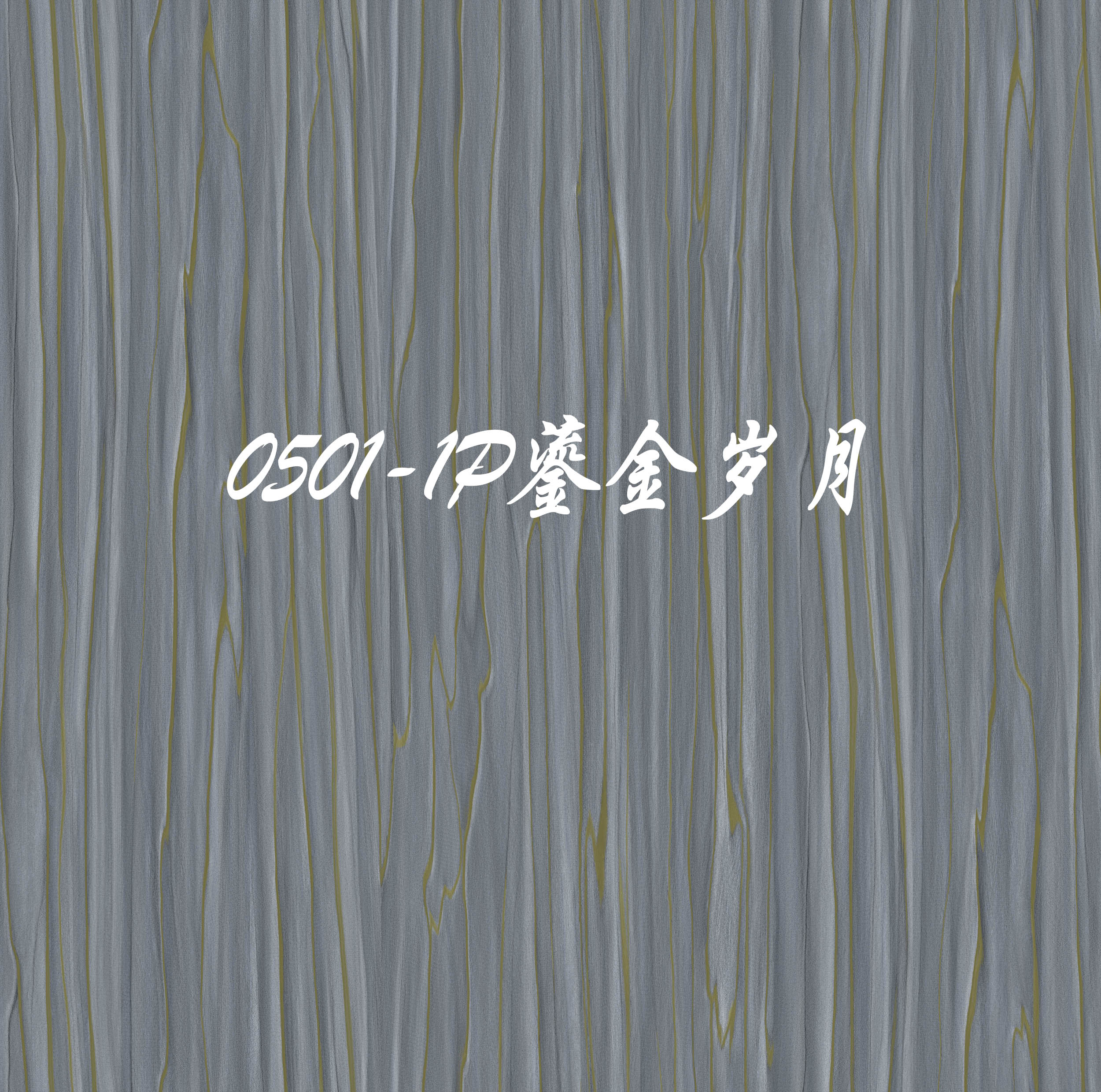 B.SH0501鎏金岁月